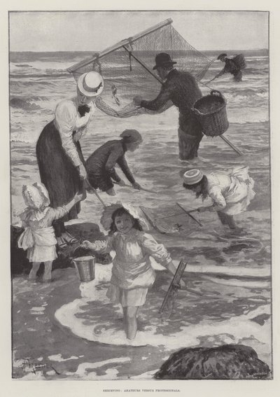 Shrimping, Amateurs versus Professionals by Amedee Forestier